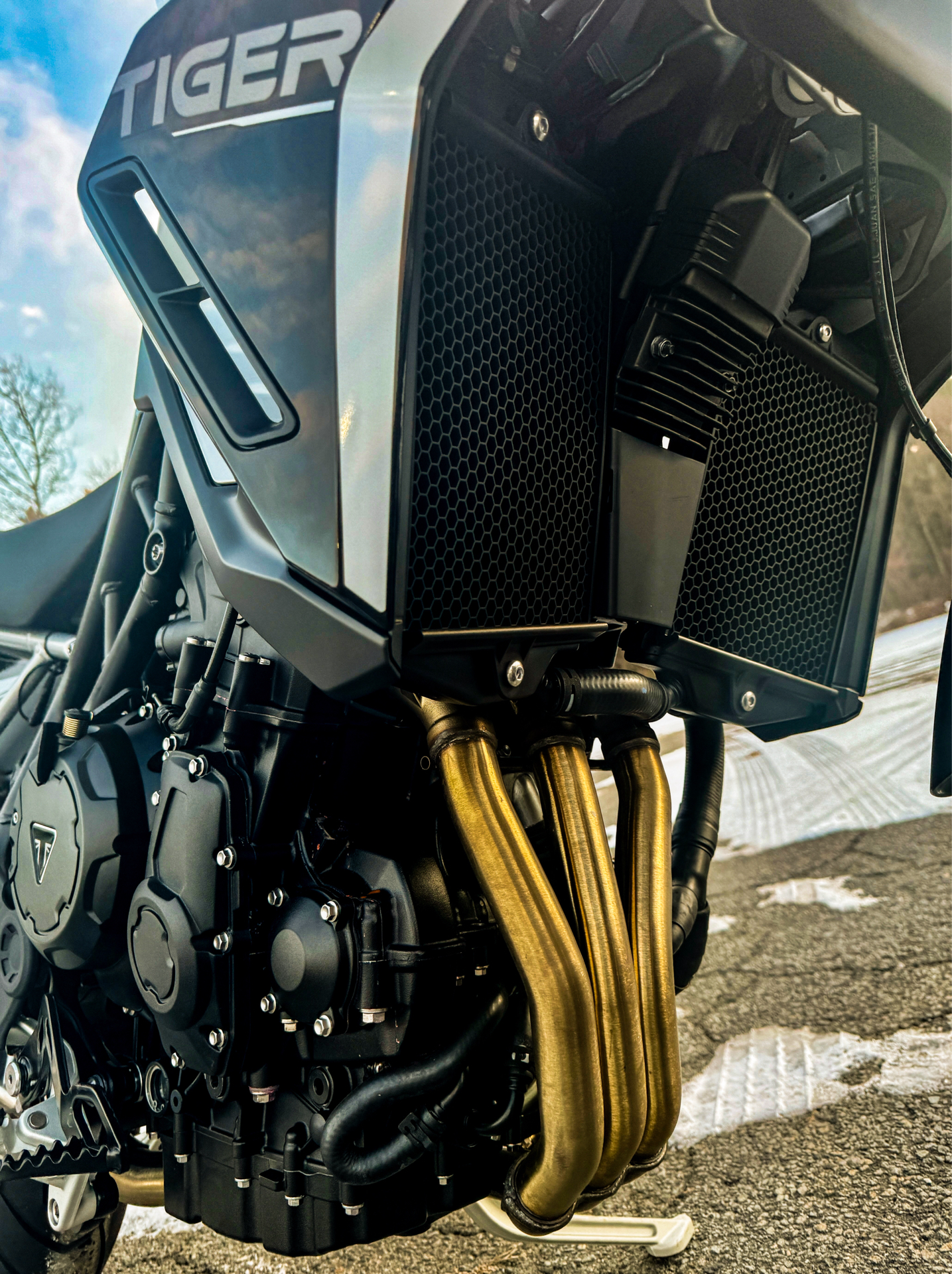 2024 Triumph Tiger 900 GT in Foxboro, Massachusetts - Photo 19