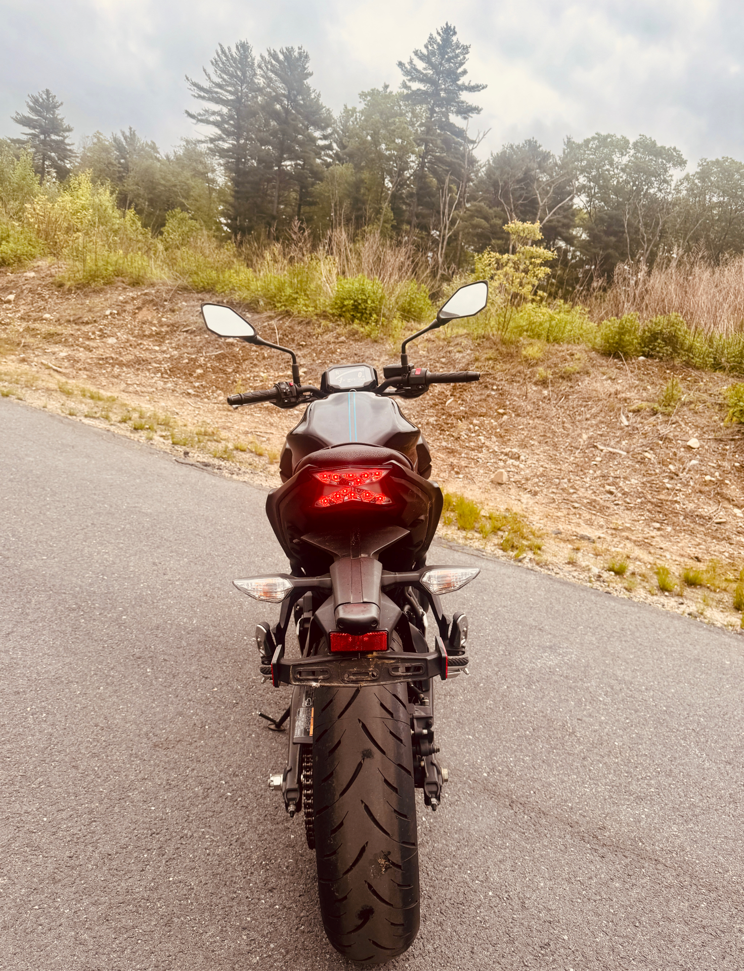 2021 Kawasaki Z650 in Foxboro, Massachusetts - Photo 8