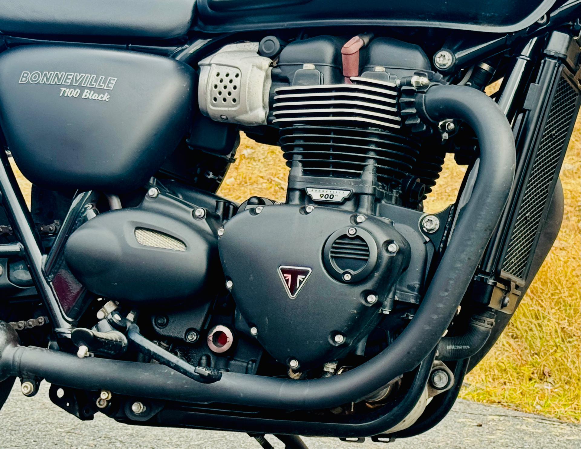 2017 Triumph Bonneville T100 Black in Foxboro, Massachusetts - Photo 4