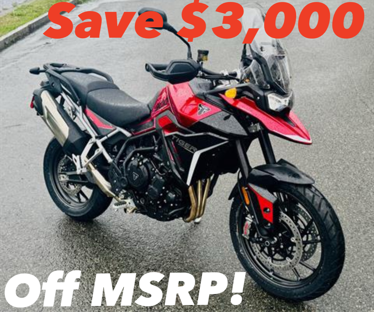 2024 Triumph Tiger 900 GT in Foxboro, Massachusetts - Photo 1