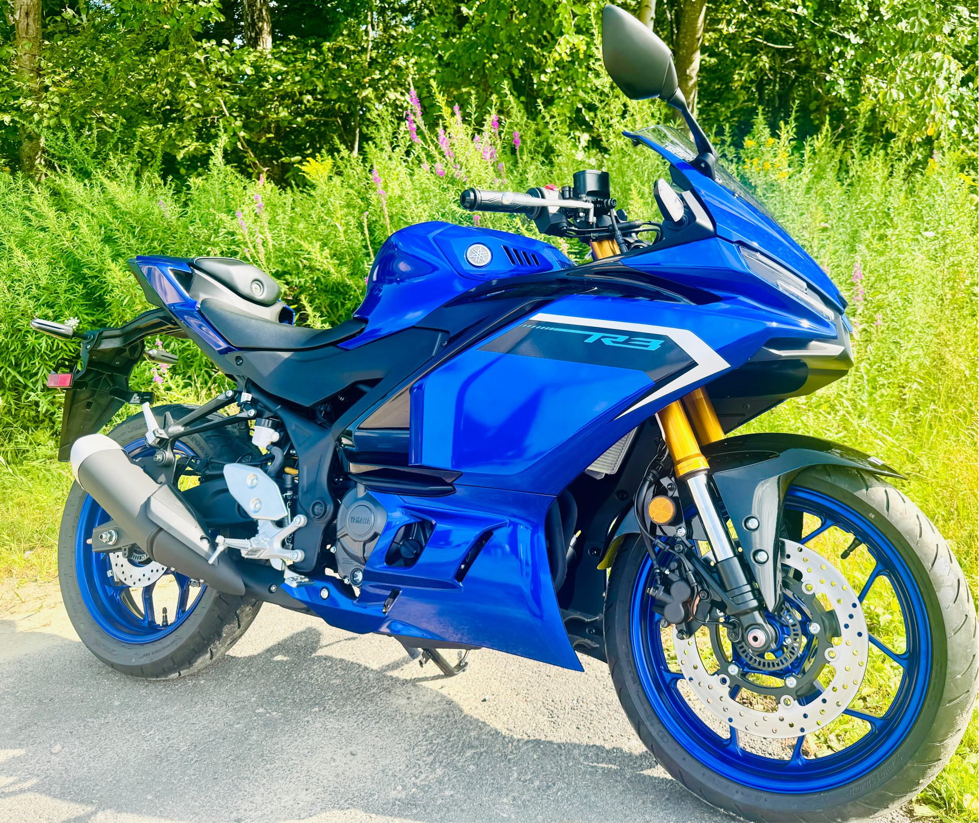 2025 Yamaha YZF-R3 in Foxboro, Massachusetts - Photo 3