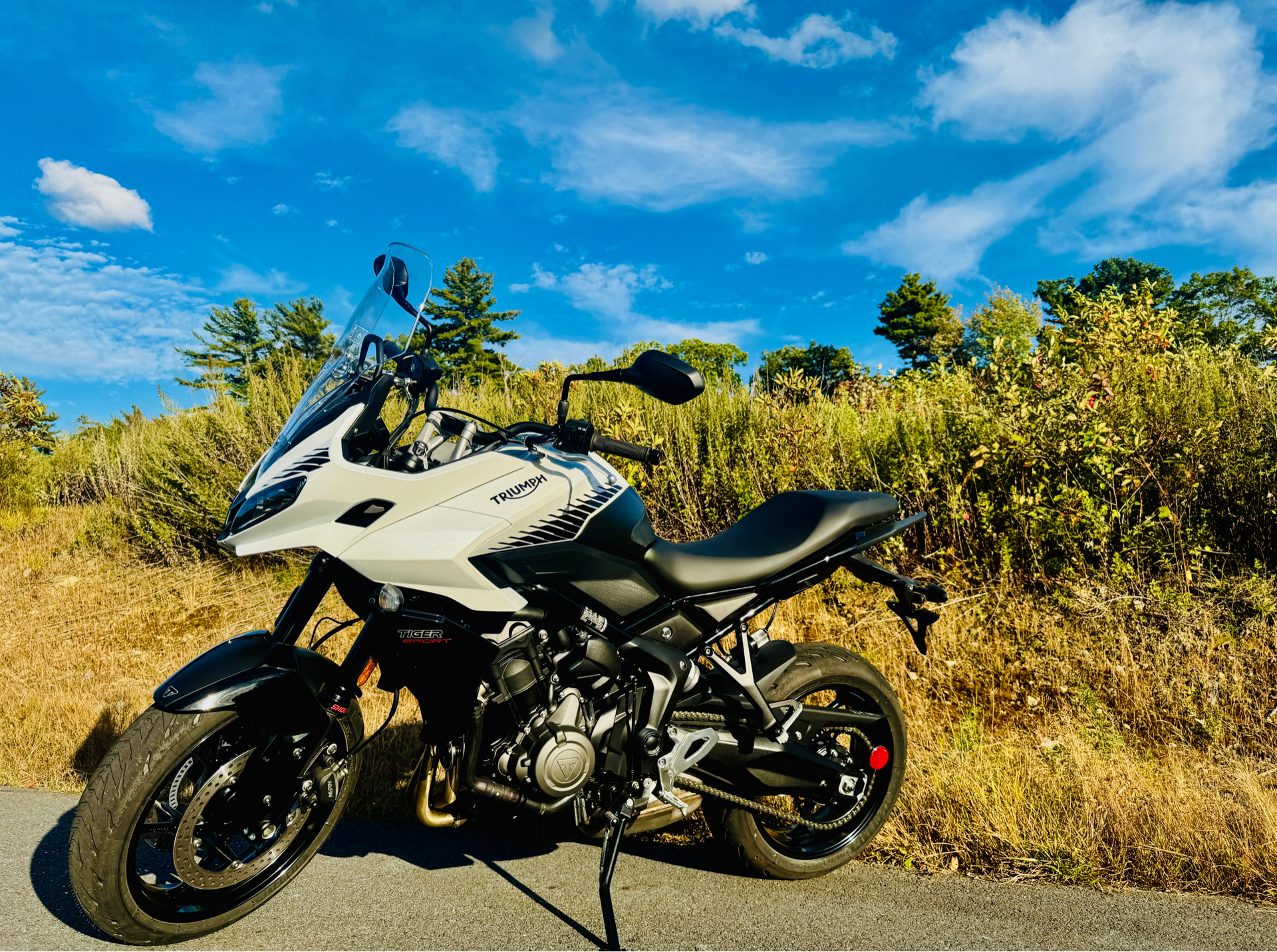 2024 Triumph Tiger Sport 660 in Foxboro, Massachusetts - Photo 14