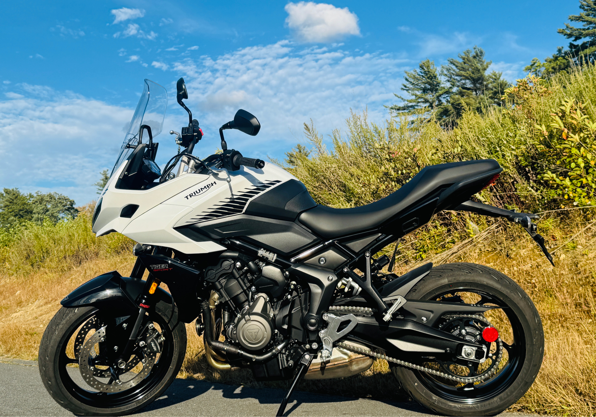 2024 Triumph Tiger Sport 660 in Foxboro, Massachusetts - Photo 15