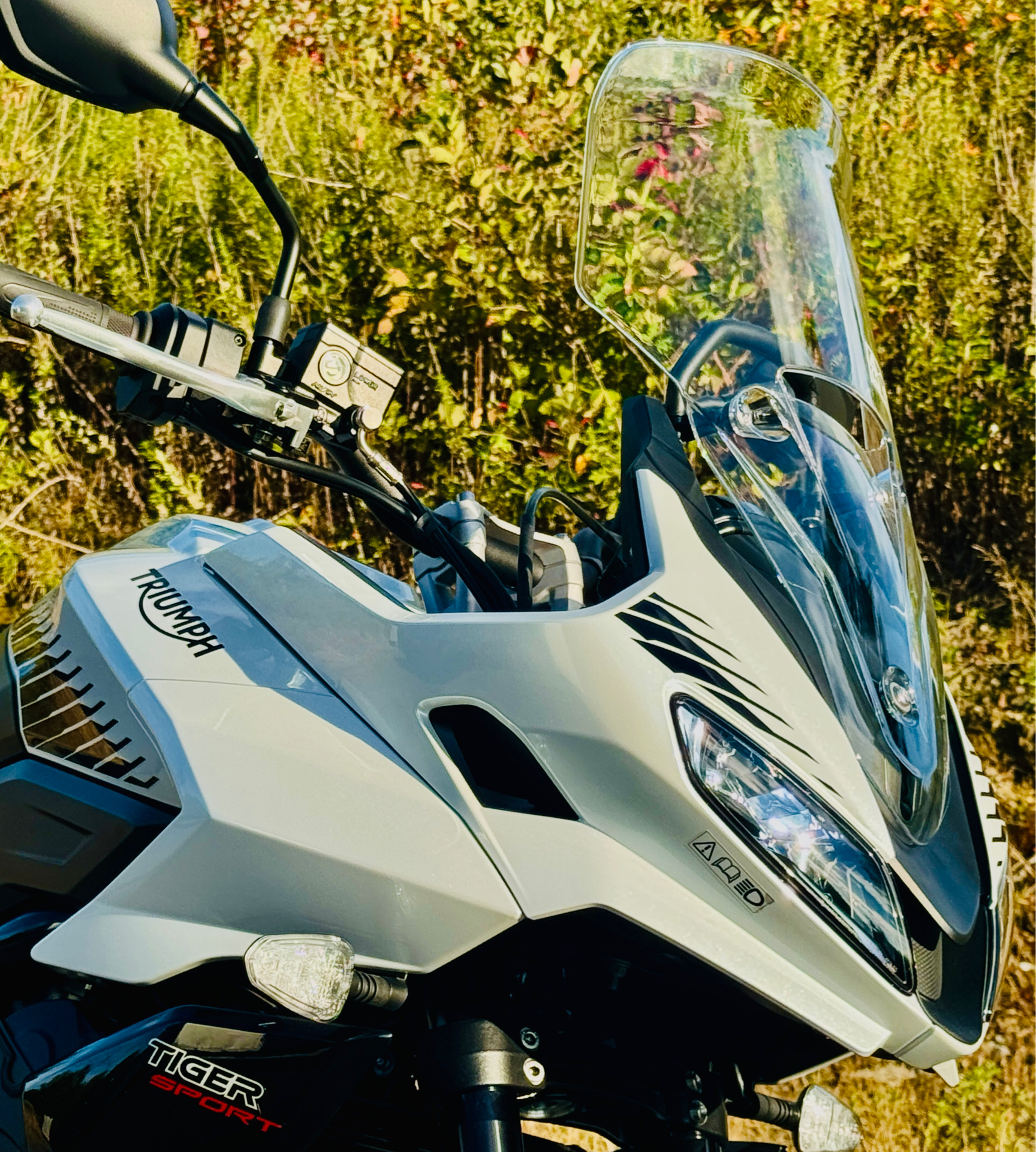 2024 Triumph Tiger Sport 660 in Foxboro, Massachusetts - Photo 17