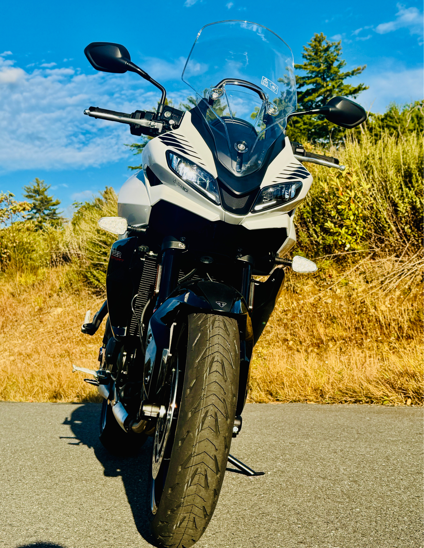 2024 Triumph Tiger Sport 660 in Foxboro, Massachusetts - Photo 19