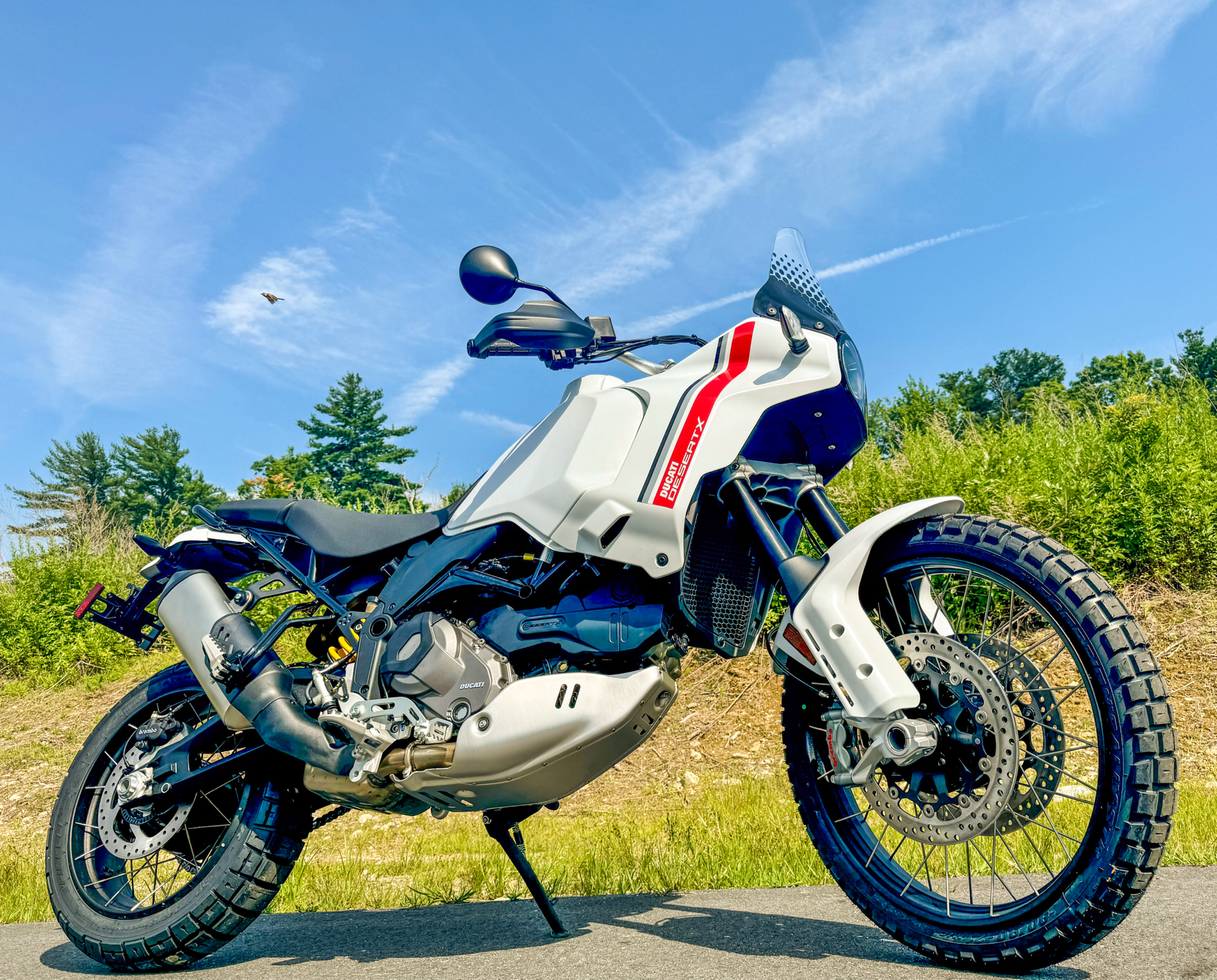 2024 Ducati DesertX in Foxboro, Massachusetts - Photo 1