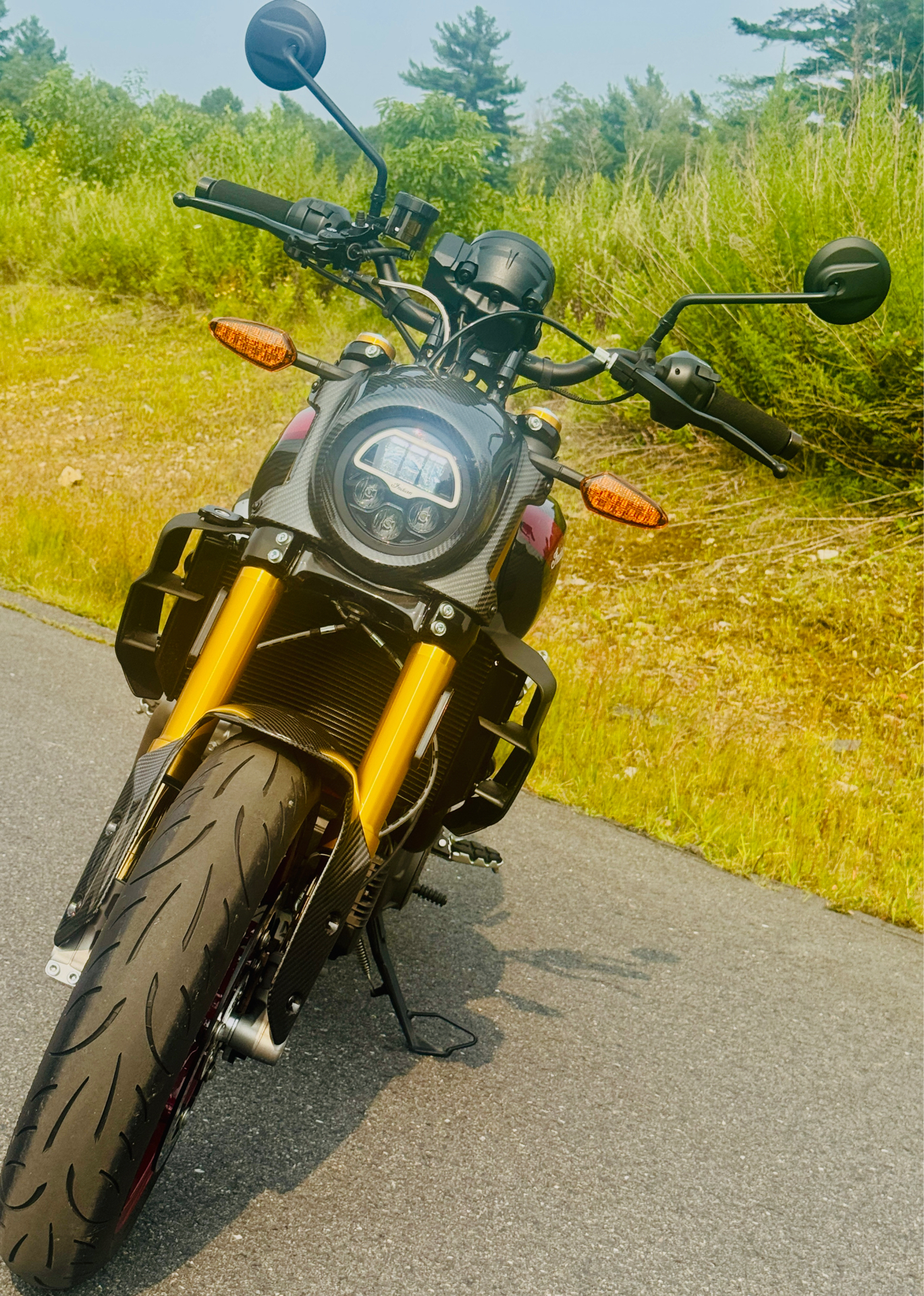 2024 Indian Motorcycle FTR R Carbon in Foxboro, Massachusetts - Photo 11