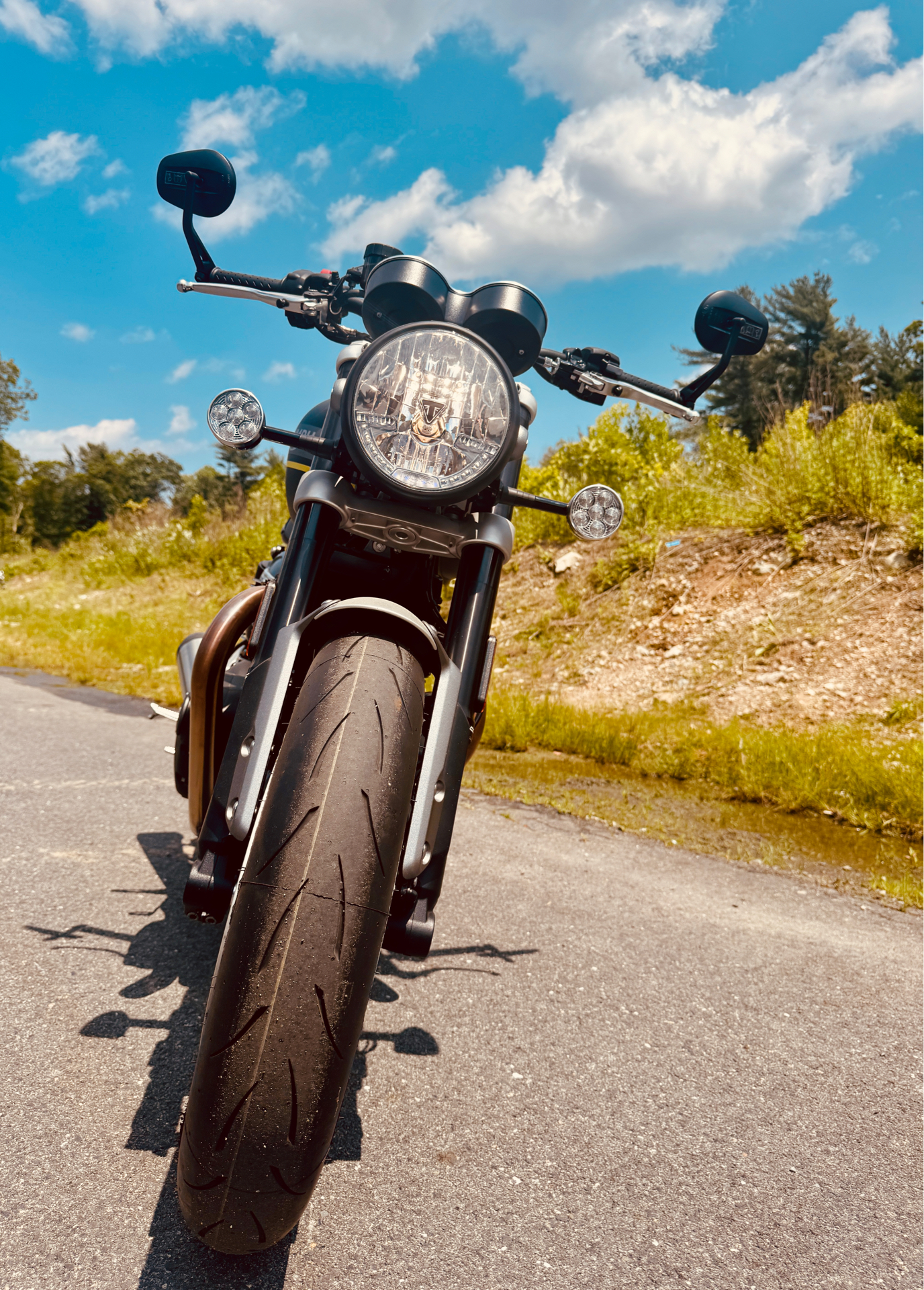 2023 Triumph Speed Twin 1200 in Foxboro, Massachusetts - Photo 11