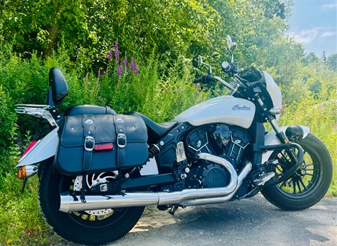 2017 Indian Motorcycle Scout® Sixty in Foxboro, Massachusetts - Photo 9