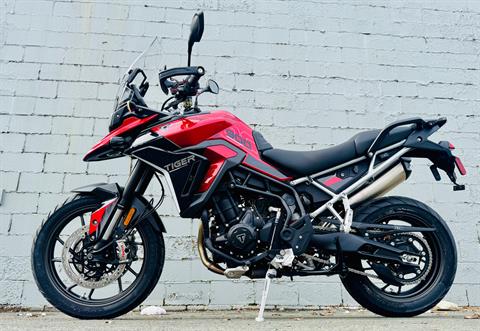 2025 Triumph Tiger 900 GT Pro in Foxboro, Massachusetts - Photo 1