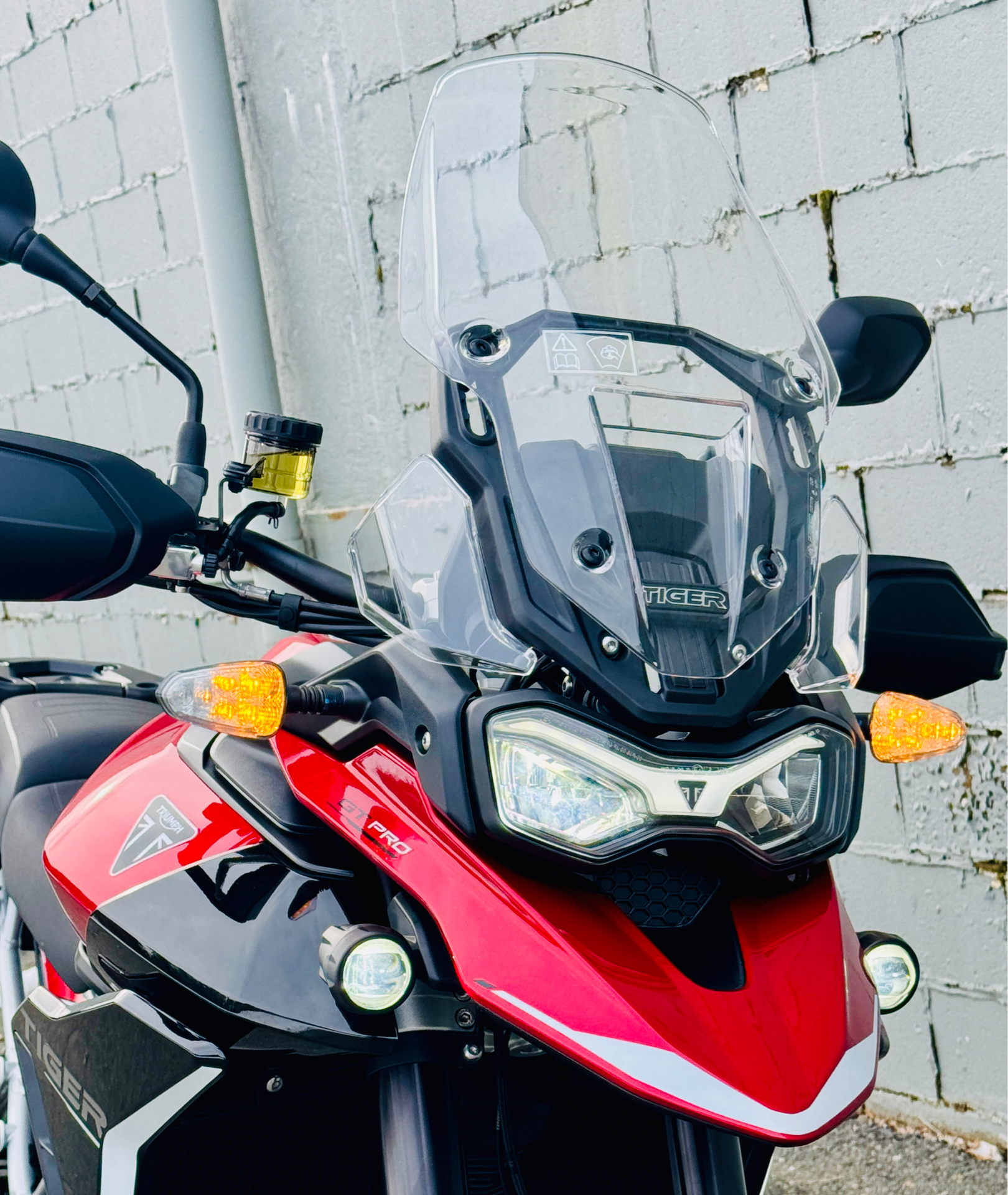 2025 Triumph Tiger 900 GT Pro in Foxboro, Massachusetts - Photo 2