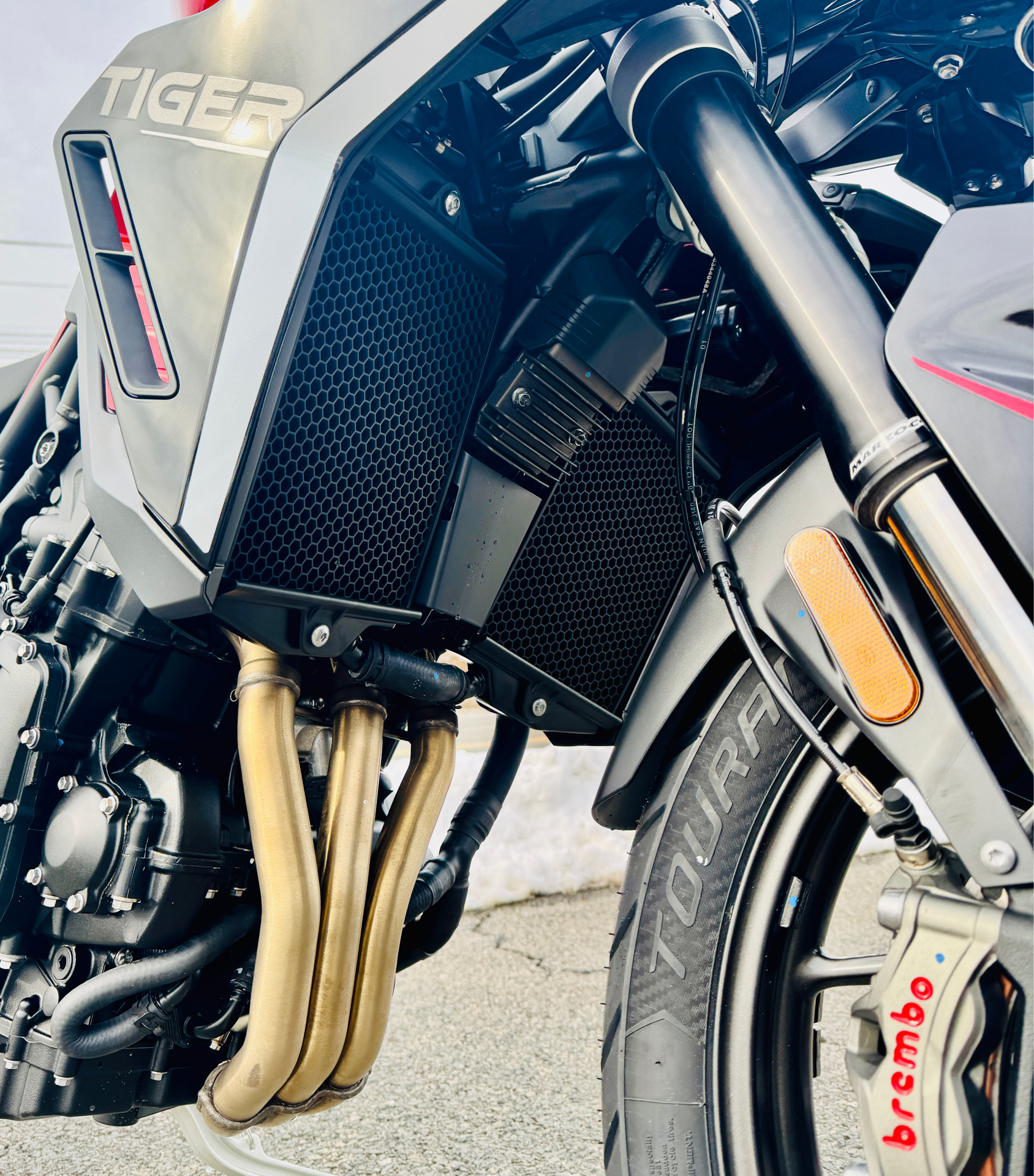 2025 Triumph Tiger 900 GT Pro in Foxboro, Massachusetts - Photo 4