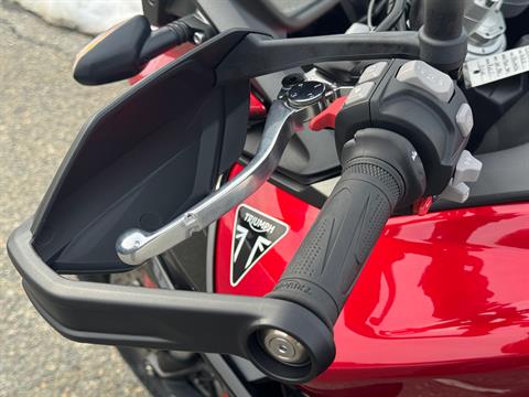 2025 Triumph Tiger 900 GT Pro in Foxboro, Massachusetts - Photo 9