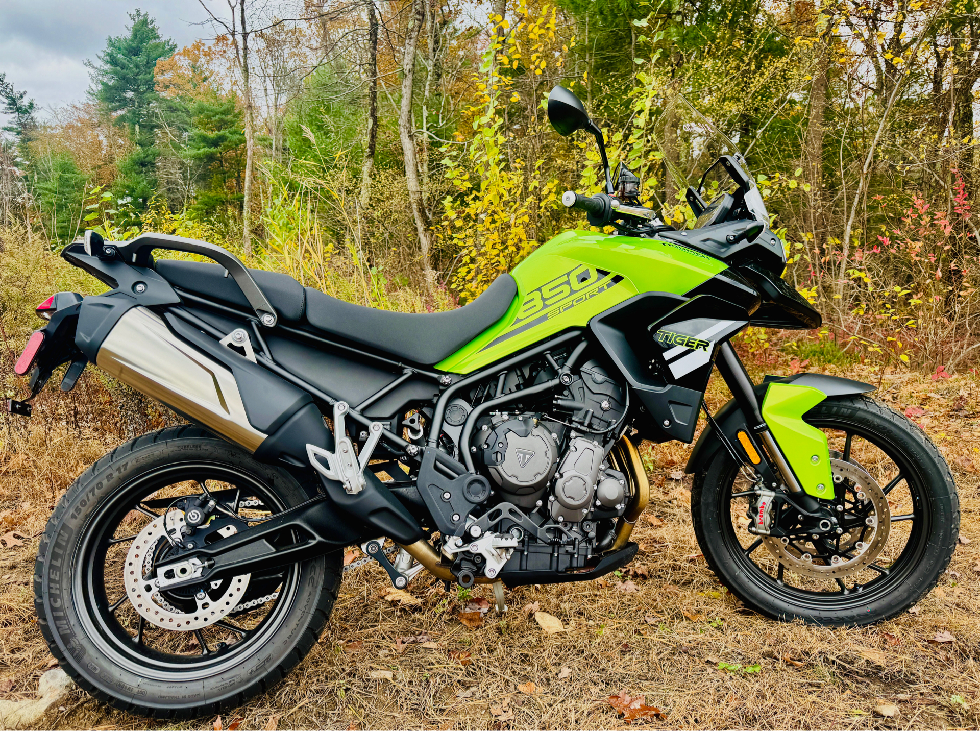 New 2025 Triumph Tiger 850 Sport Roulette Green / Jet Black
