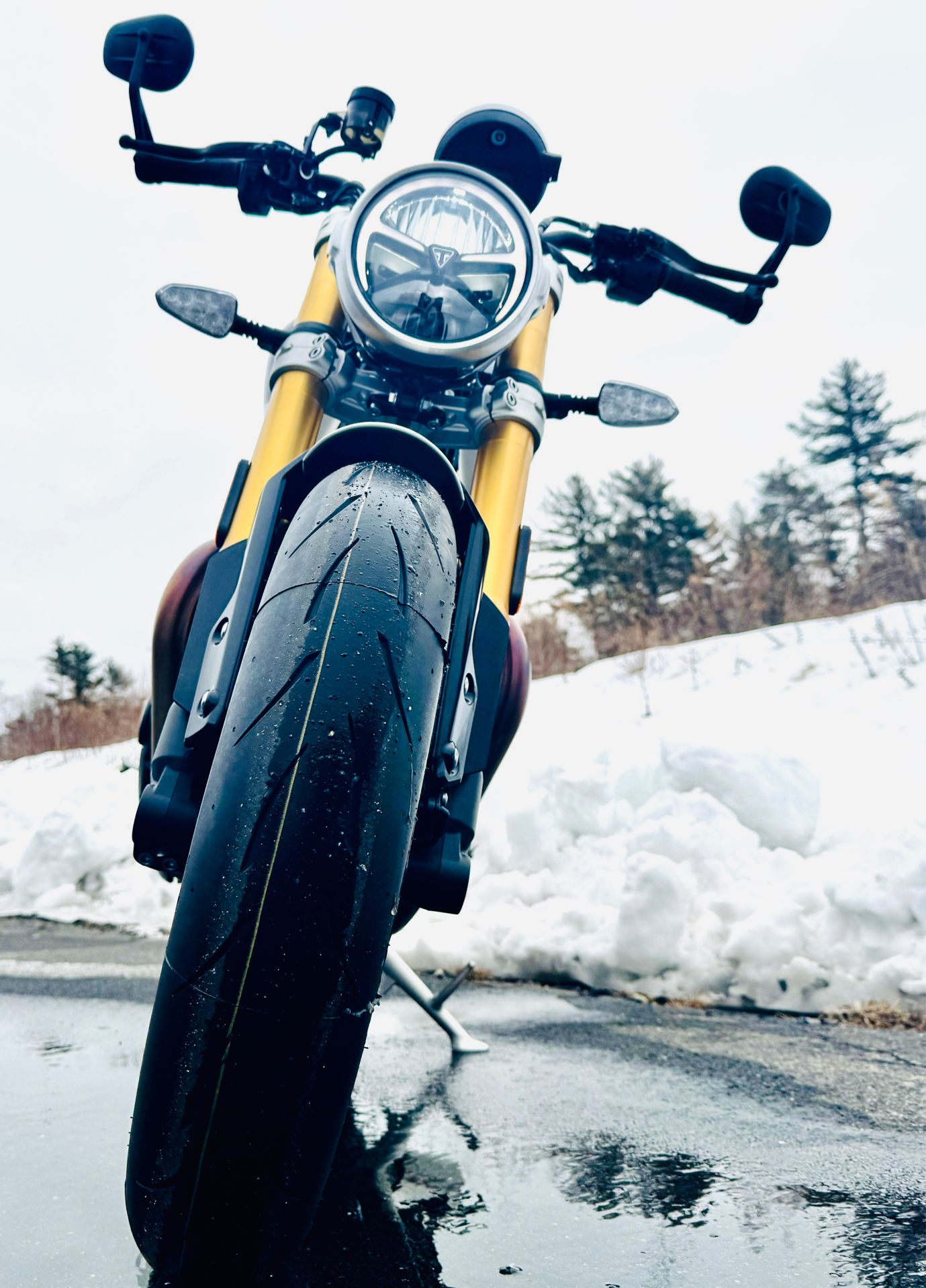 2025 Triumph Speed Twin 1200 RS in Foxboro, Massachusetts - Photo 10