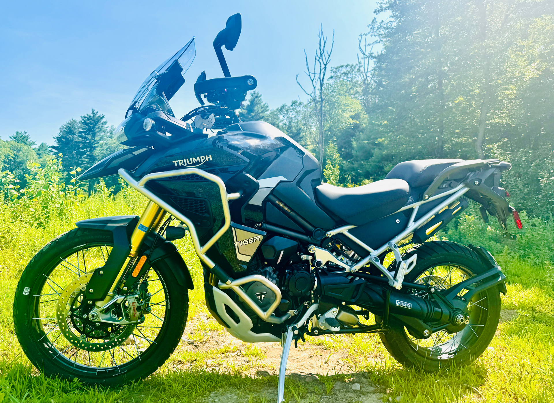 2024 Triumph Tiger 1200 Rally Explorer in Foxboro, Massachusetts - Photo 3