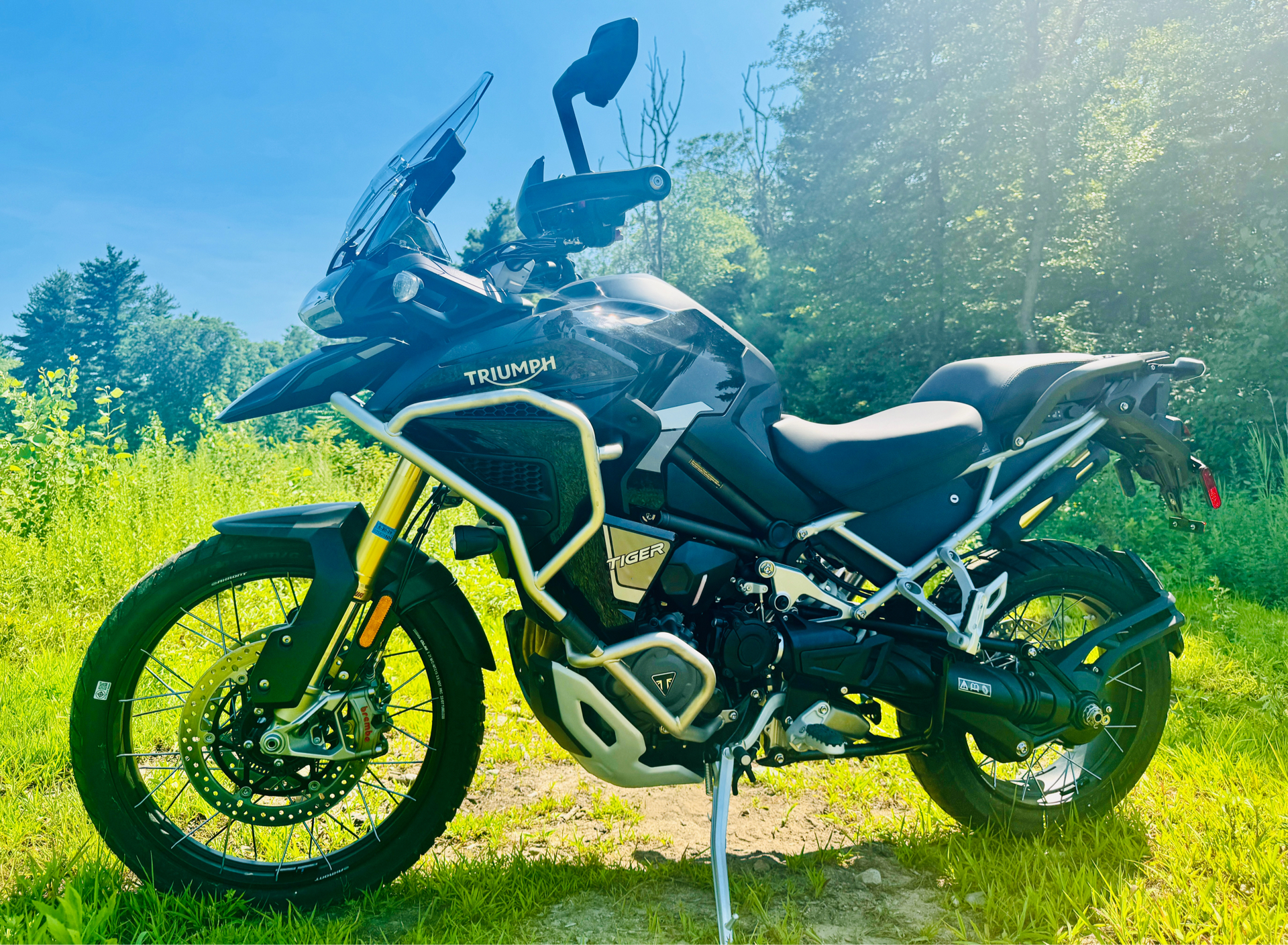 2024 Triumph Tiger 1200 Rally Explorer in Foxboro, Massachusetts - Photo 23