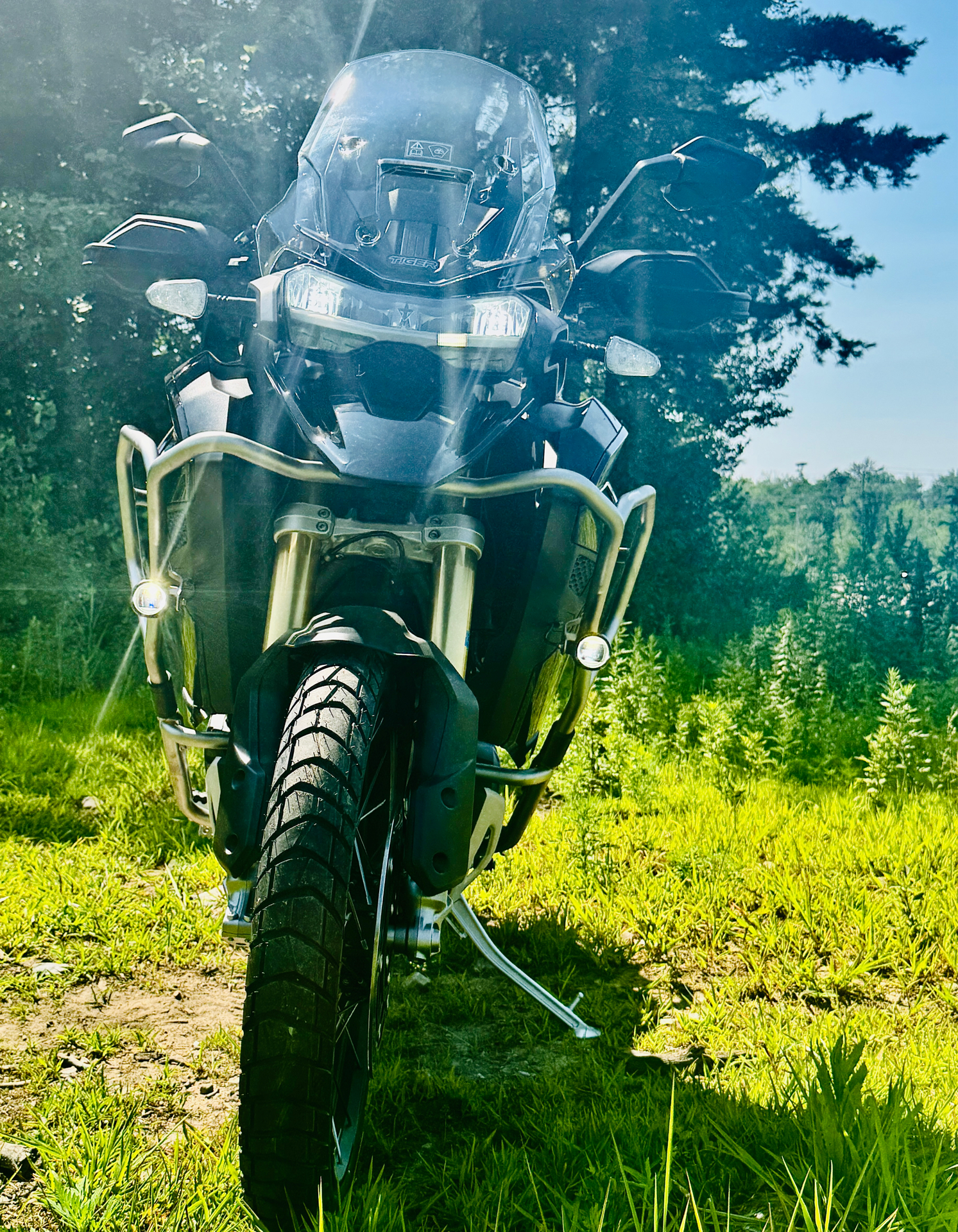 2024 Triumph Tiger 1200 Rally Explorer in Foxboro, Massachusetts - Photo 5