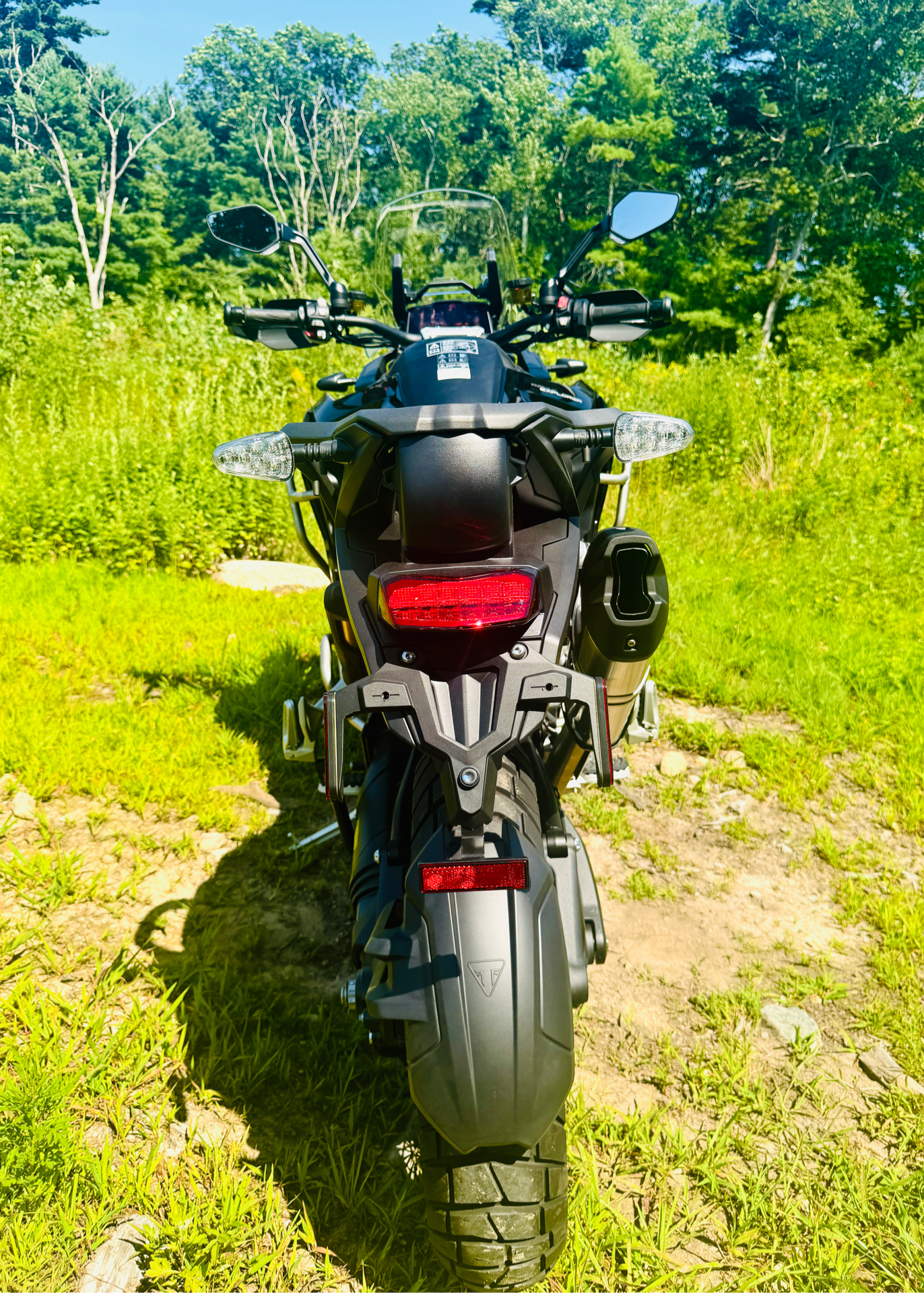 2024 Triumph Tiger 1200 Rally Explorer in Foxboro, Massachusetts - Photo 16