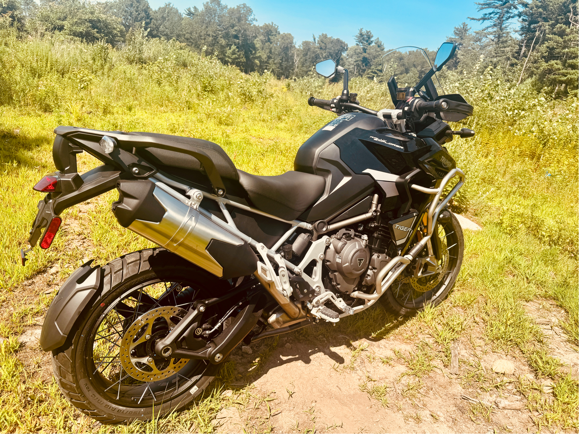 2024 Triumph Tiger 1200 Rally Explorer in Foxboro, Massachusetts - Photo 7
