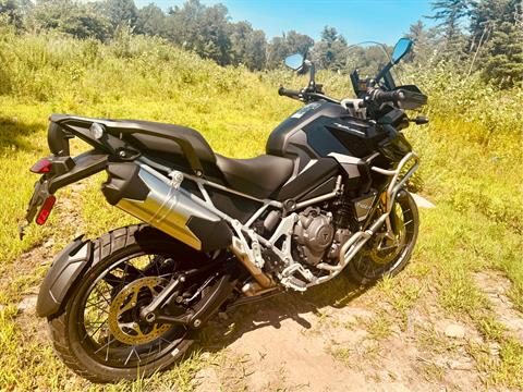 2024 Triumph Tiger 1200 Rally Explorer in Foxboro, Massachusetts - Photo 7