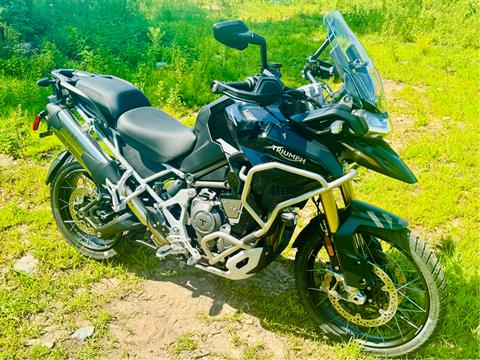 2024 Triumph Tiger 1200 Rally Explorer in Foxboro, Massachusetts - Photo 1