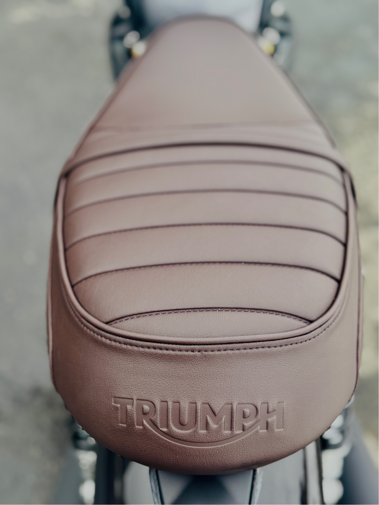 2025 Triumph Bonneville T120 Black in Foxboro, Massachusetts - Photo 3
