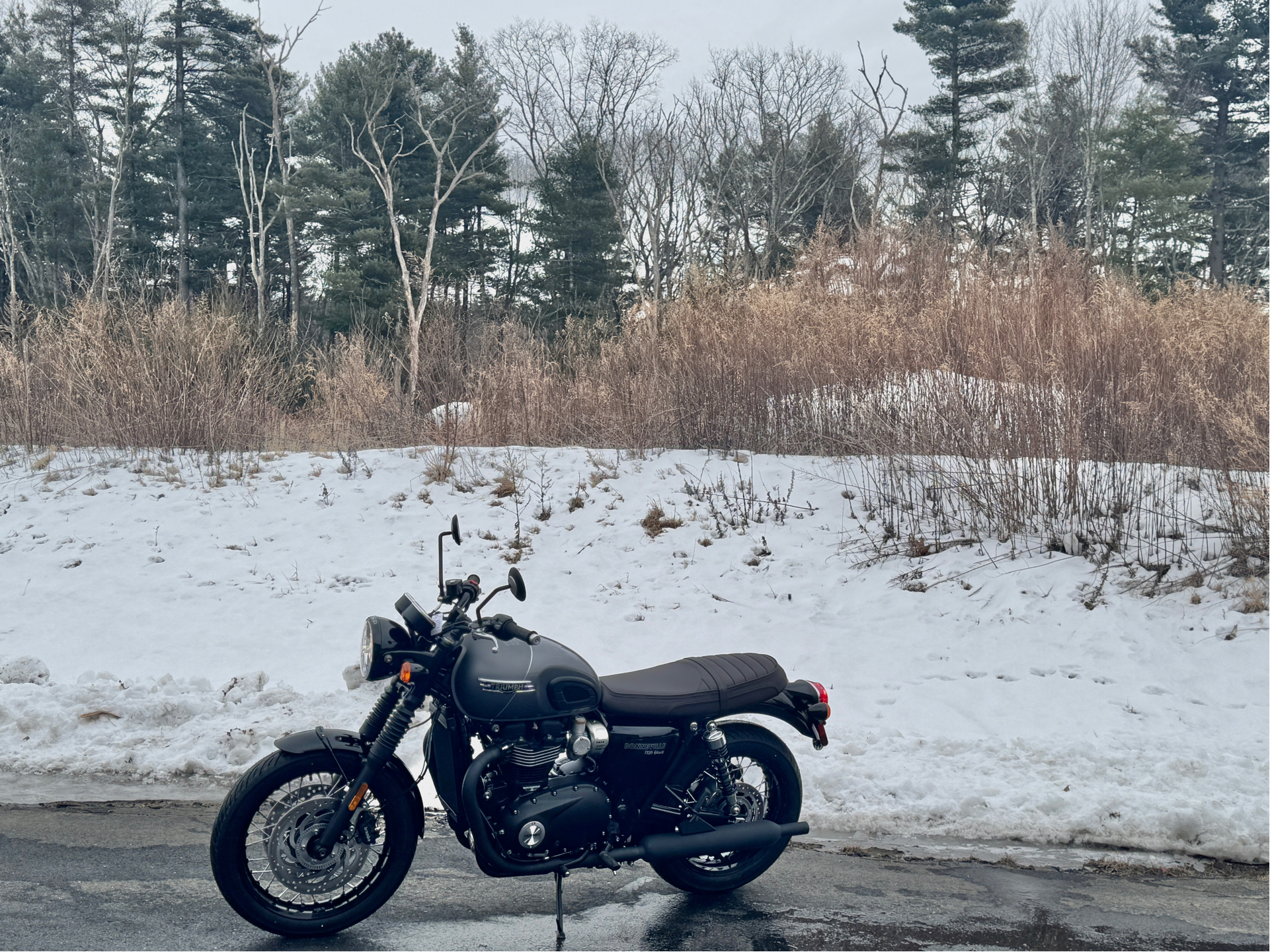 2025 Triumph Bonneville T120 Black in Foxboro, Massachusetts - Photo 33