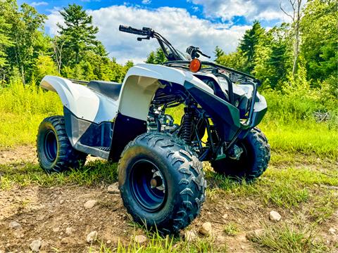 2024 Yamaha Grizzly 90 in Foxboro, Massachusetts - Photo 1