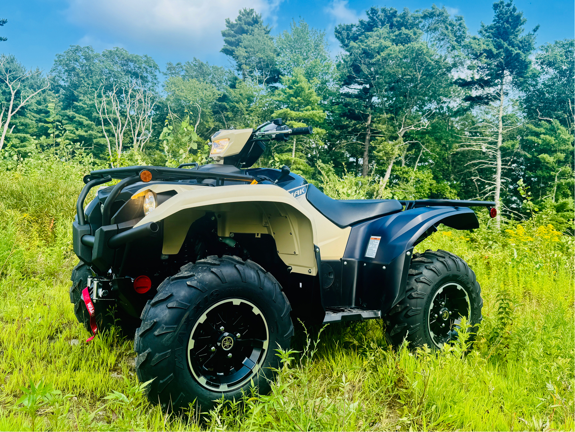 2025 Yamaha Kodiak 700 EPS SE in Foxboro, Massachusetts - Photo 1
