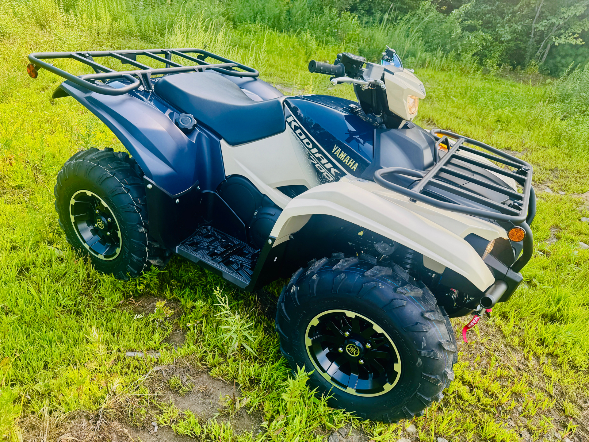 2025 Yamaha Kodiak 700 EPS SE in Foxboro, Massachusetts - Photo 3