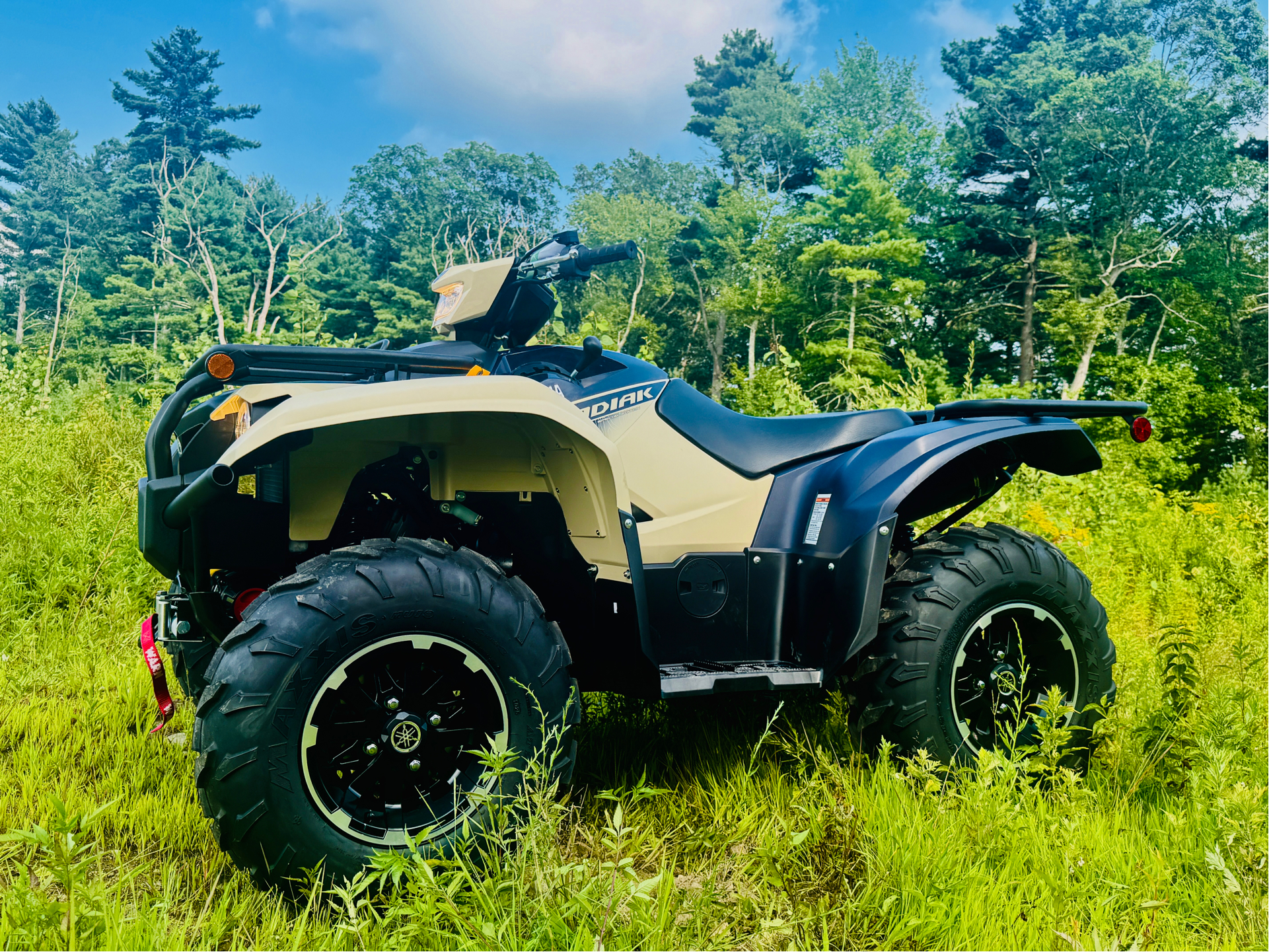 2025 Yamaha Kodiak 700 EPS SE in Foxboro, Massachusetts - Photo 23