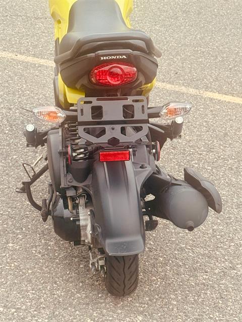 2023 Honda Navi in Foxboro, Massachusetts - Photo 18