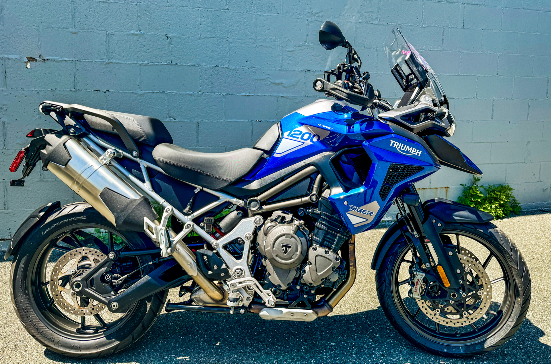 2023 Triumph Tiger 1200 GT Pro in Foxboro, Massachusetts - Photo 3