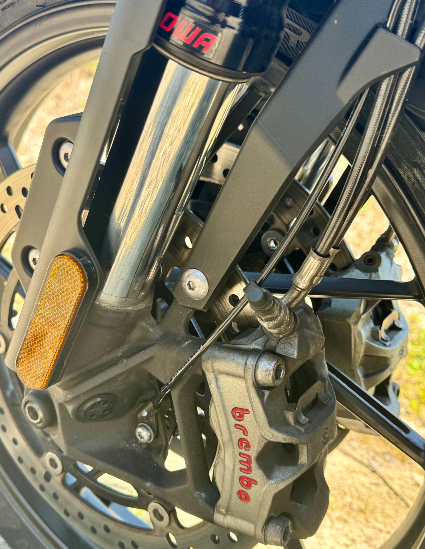 2023 Triumph Tiger 1200 GT Pro in Foxboro, Massachusetts - Photo 8