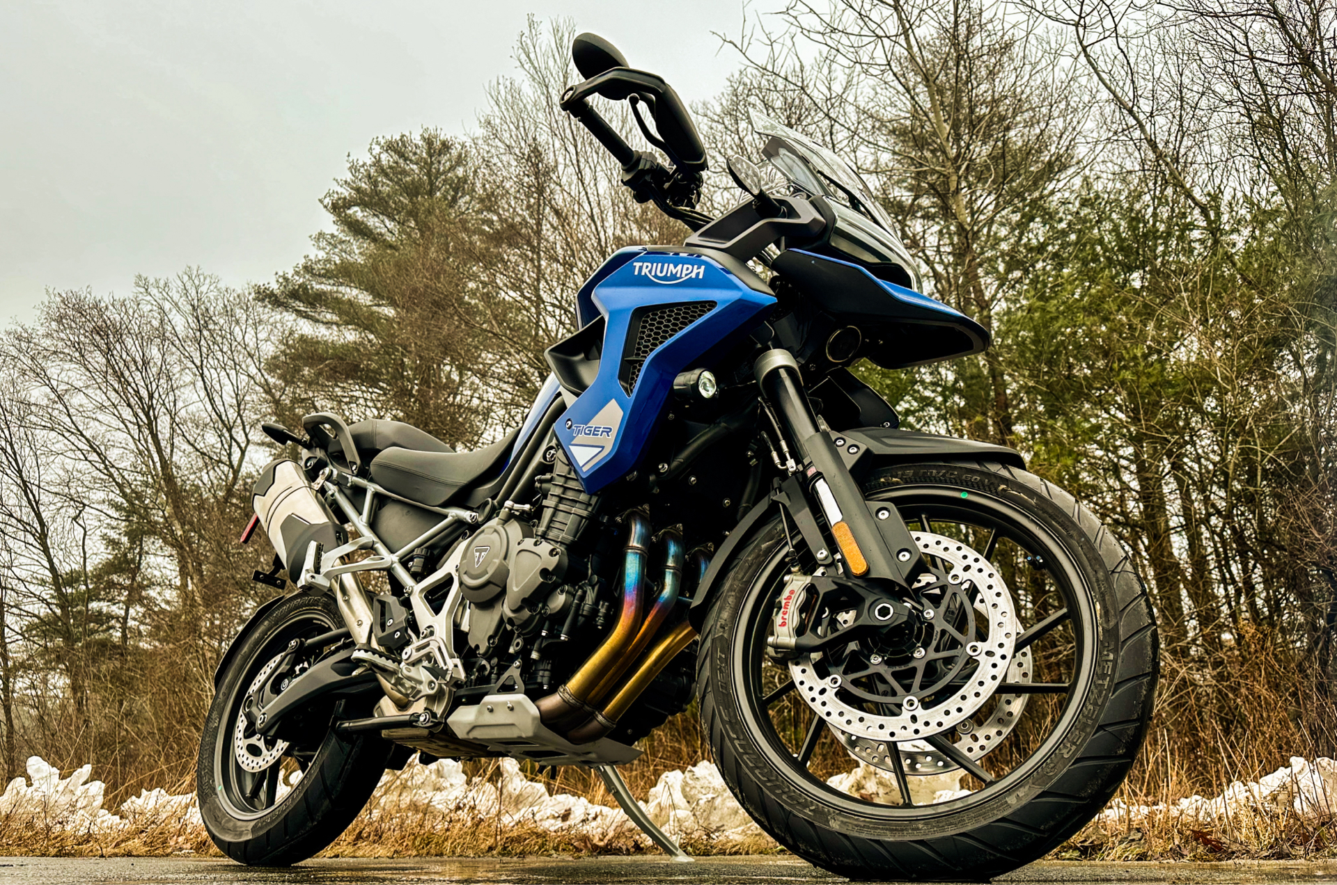 2023 Triumph Tiger 1200 GT Pro in Foxboro, Massachusetts - Photo 1