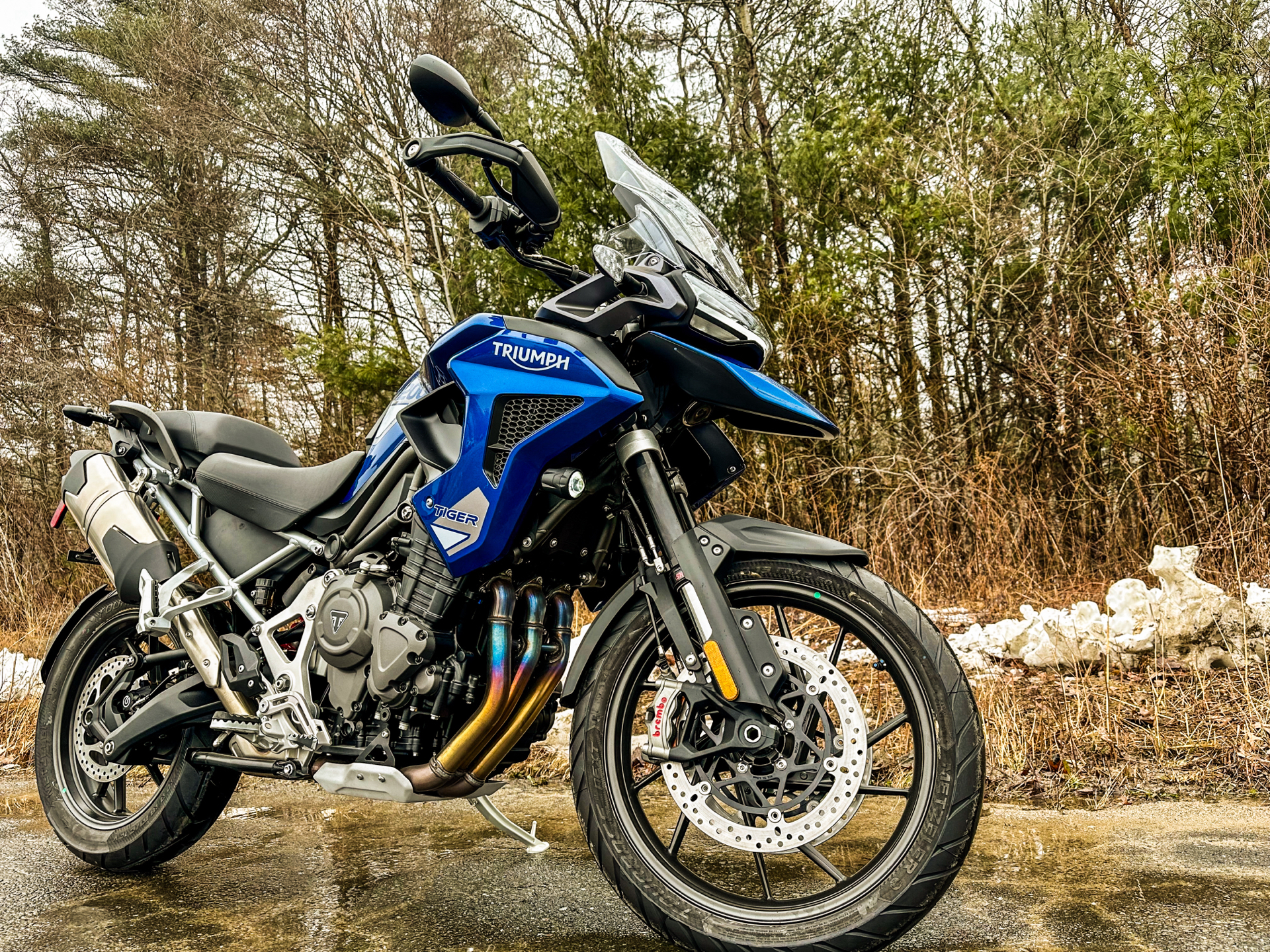2023 Triumph Tiger 1200 GT Pro in Foxboro, Massachusetts - Photo 1