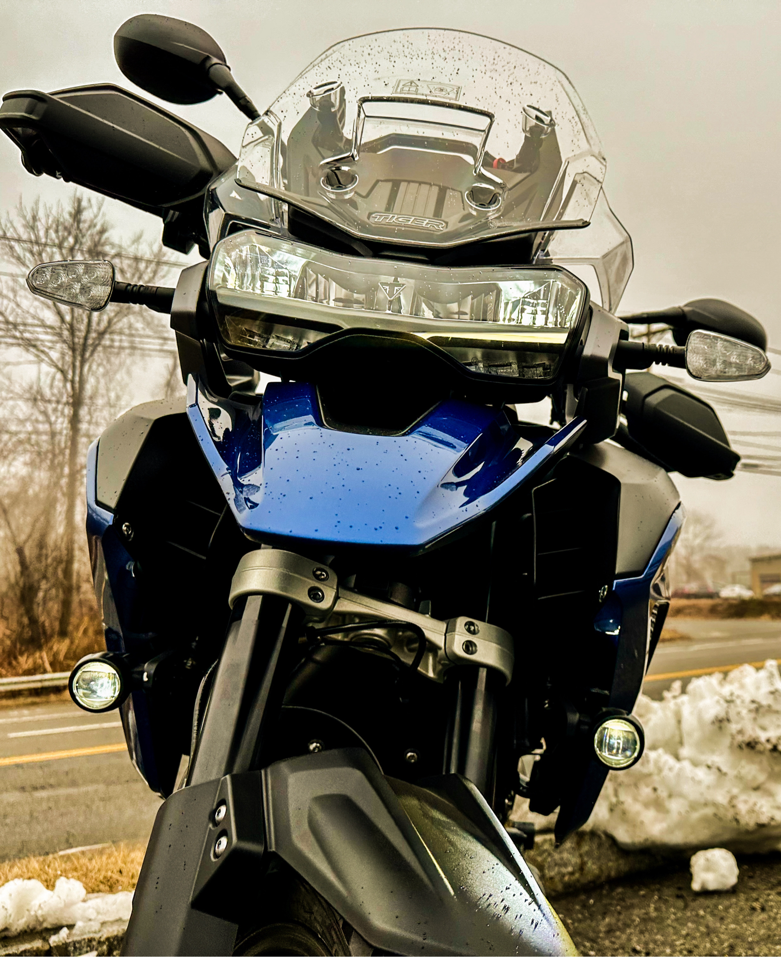 2023 Triumph Tiger 1200 GT Pro in Foxboro, Massachusetts - Photo 2