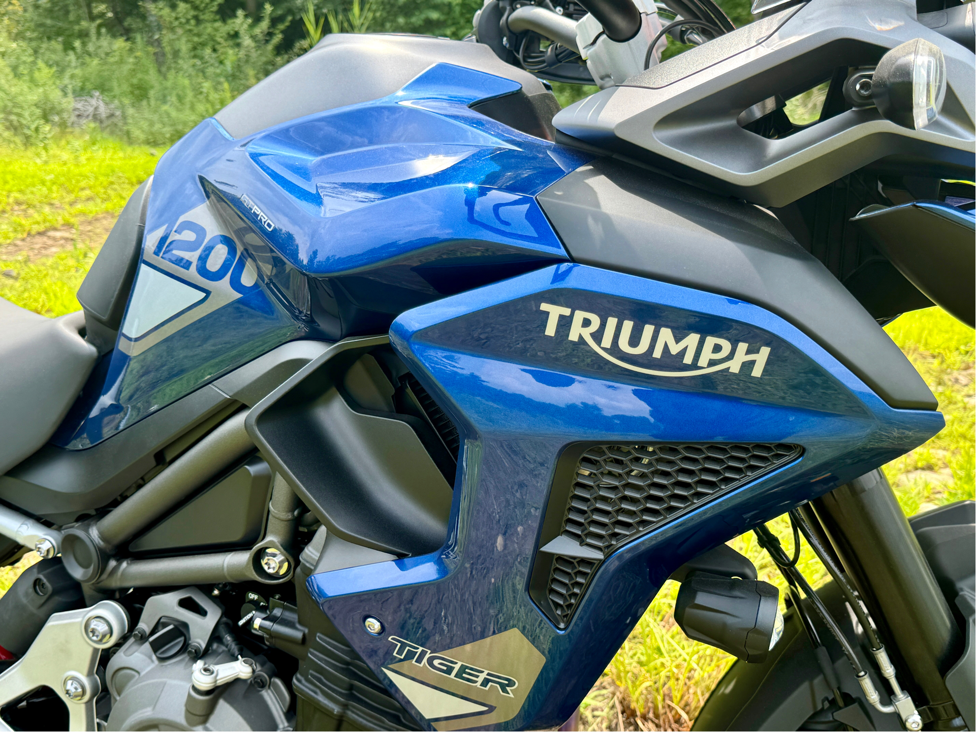 2023 Triumph Tiger 1200 GT Pro in Foxboro, Massachusetts - Photo 15