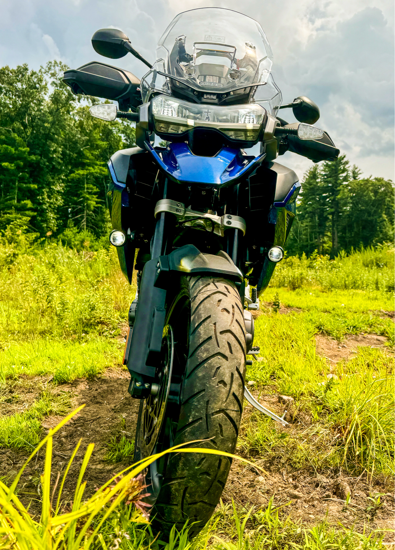 2023 Triumph Tiger 1200 GT Pro in Foxboro, Massachusetts - Photo 16