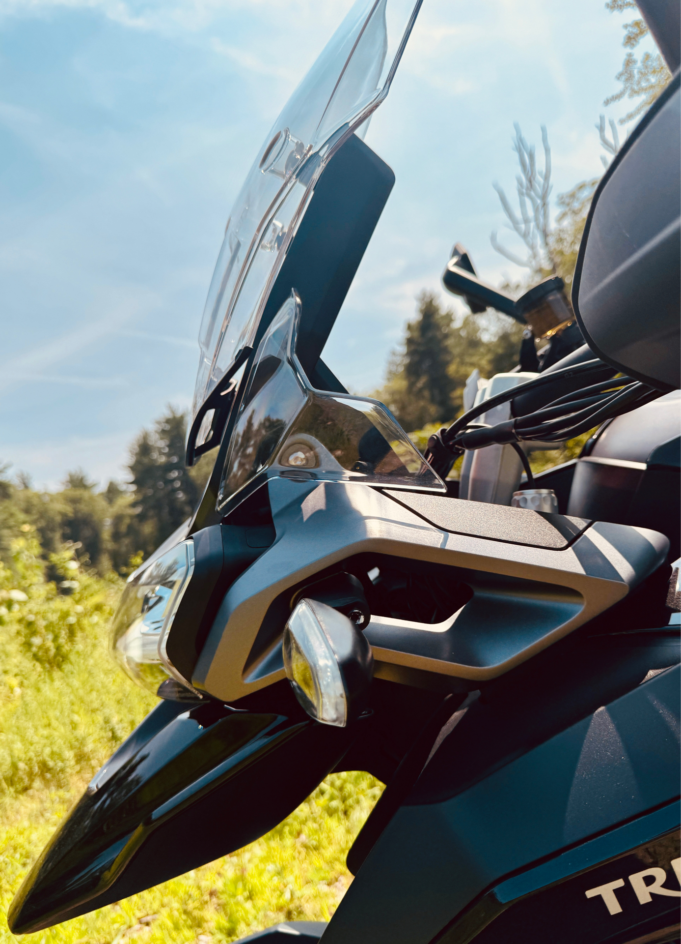 2023 Triumph Tiger 1200 GT Explorer in Foxboro, Massachusetts - Photo 14