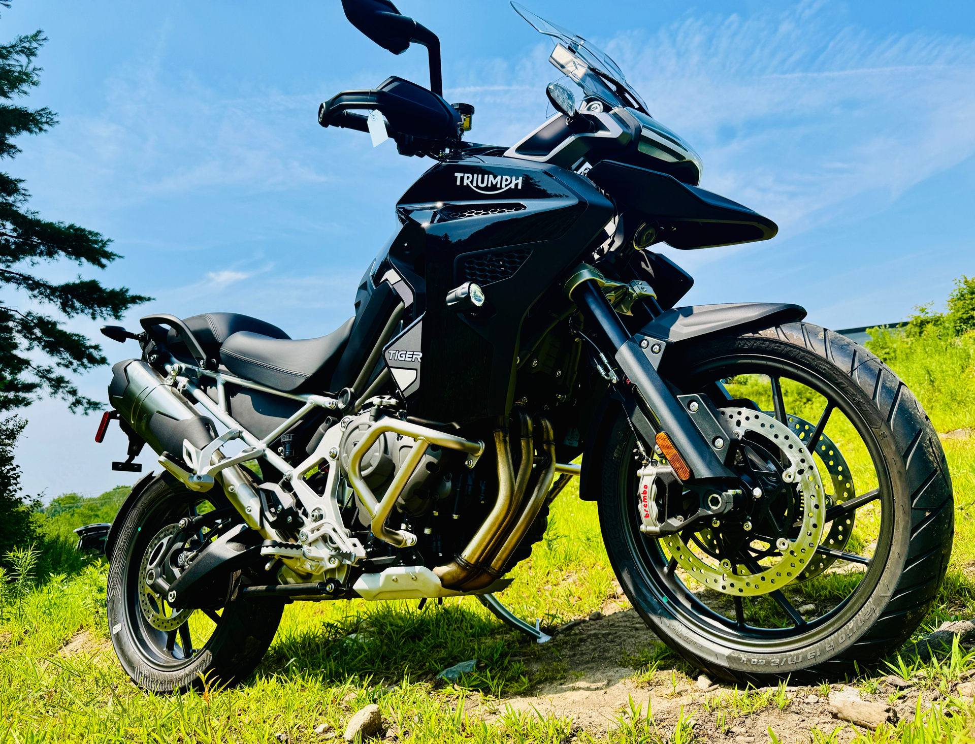 2023 Triumph Tiger 1200 GT Explorer in Foxboro, Massachusetts - Photo 1