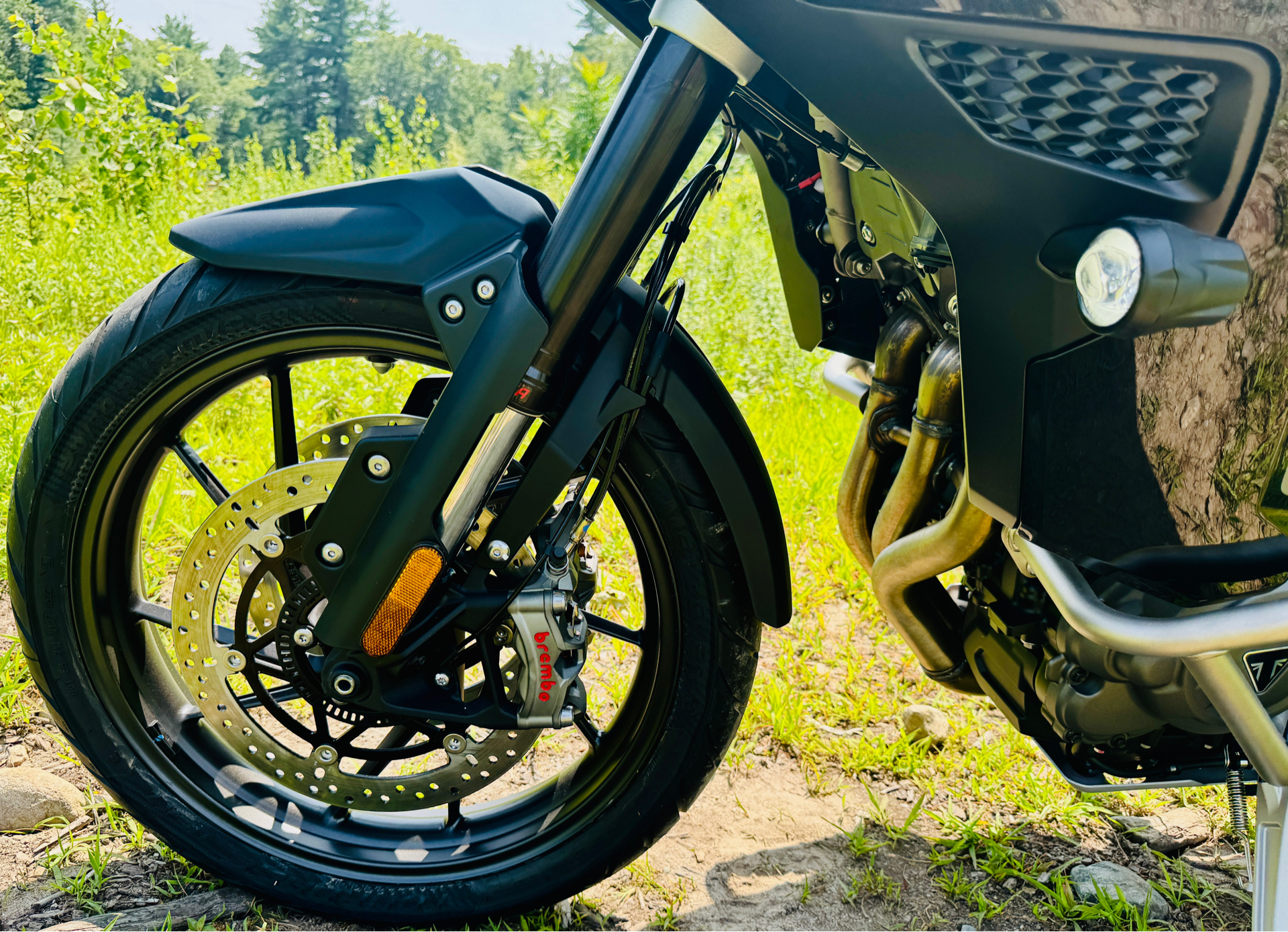 2023 Triumph Tiger 1200 GT Explorer in Foxboro, Massachusetts - Photo 19