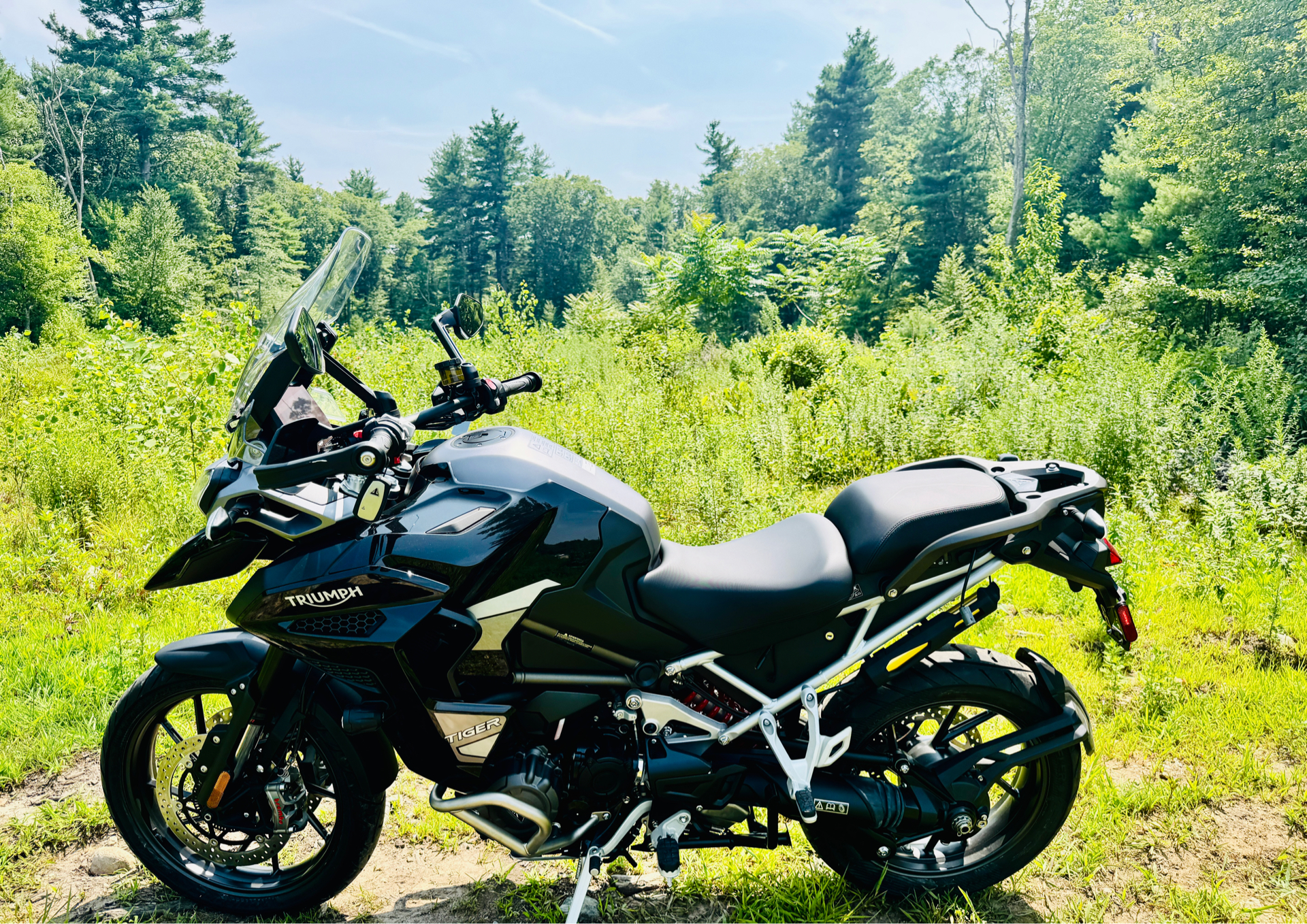 2023 Triumph Tiger 1200 GT Explorer in Foxboro, Massachusetts - Photo 11