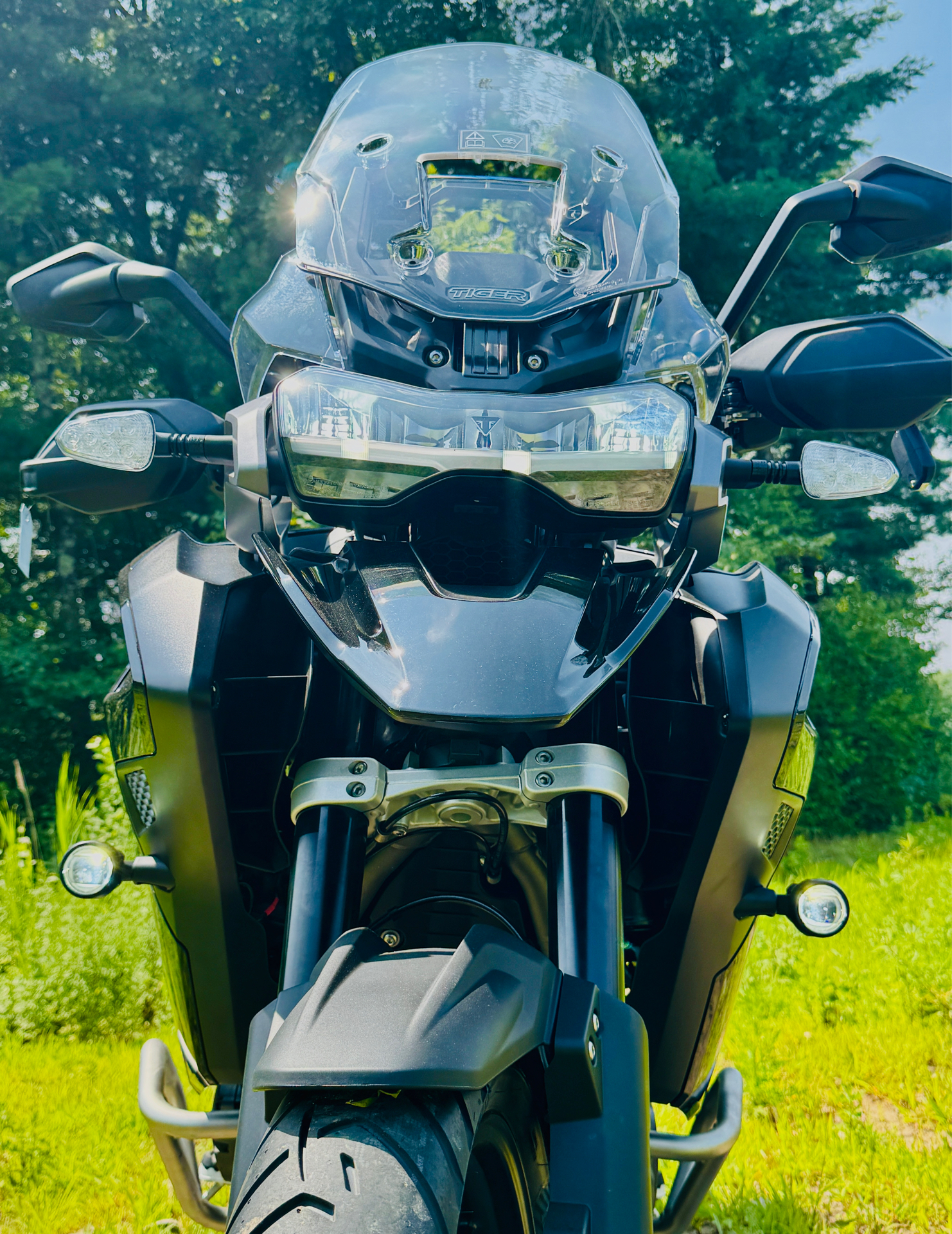 2023 Triumph Tiger 1200 GT Explorer in Foxboro, Massachusetts - Photo 6