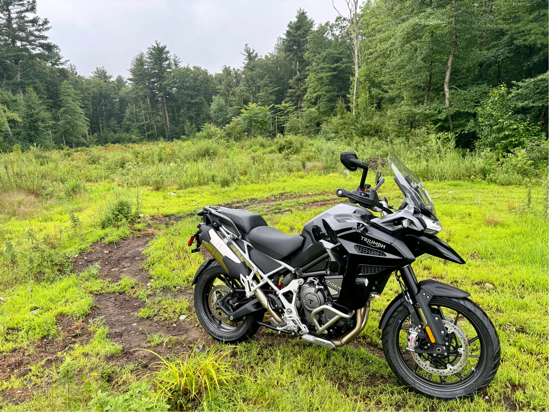 2023 Triumph Tiger 1200 GT Explorer in Foxboro, Massachusetts - Photo 23