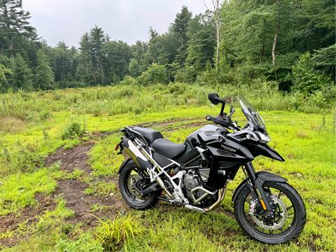 2023 Triumph Tiger 1200 GT Explorer in Foxboro, Massachusetts - Photo 23
