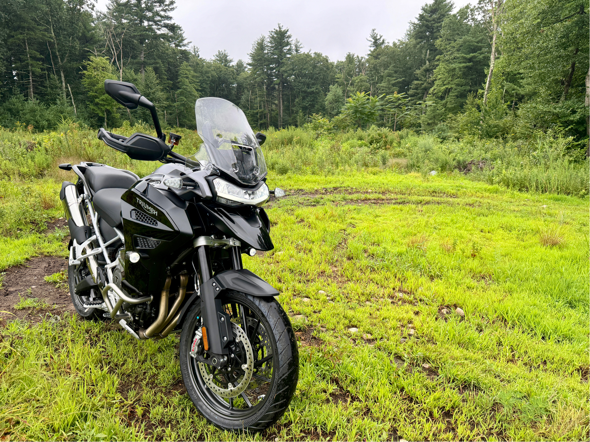 2023 Triumph Tiger 1200 GT Explorer in Foxboro, Massachusetts - Photo 12