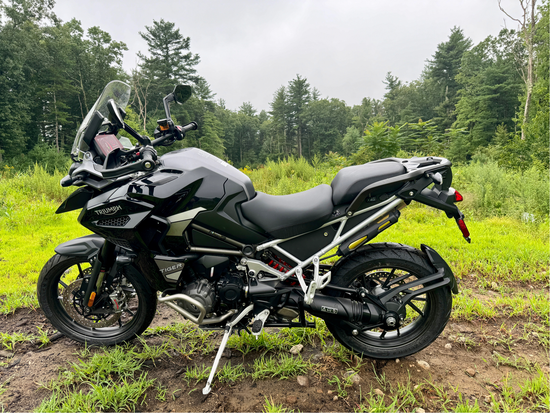 2023 Triumph Tiger 1200 GT Explorer in Foxboro, Massachusetts - Photo 14