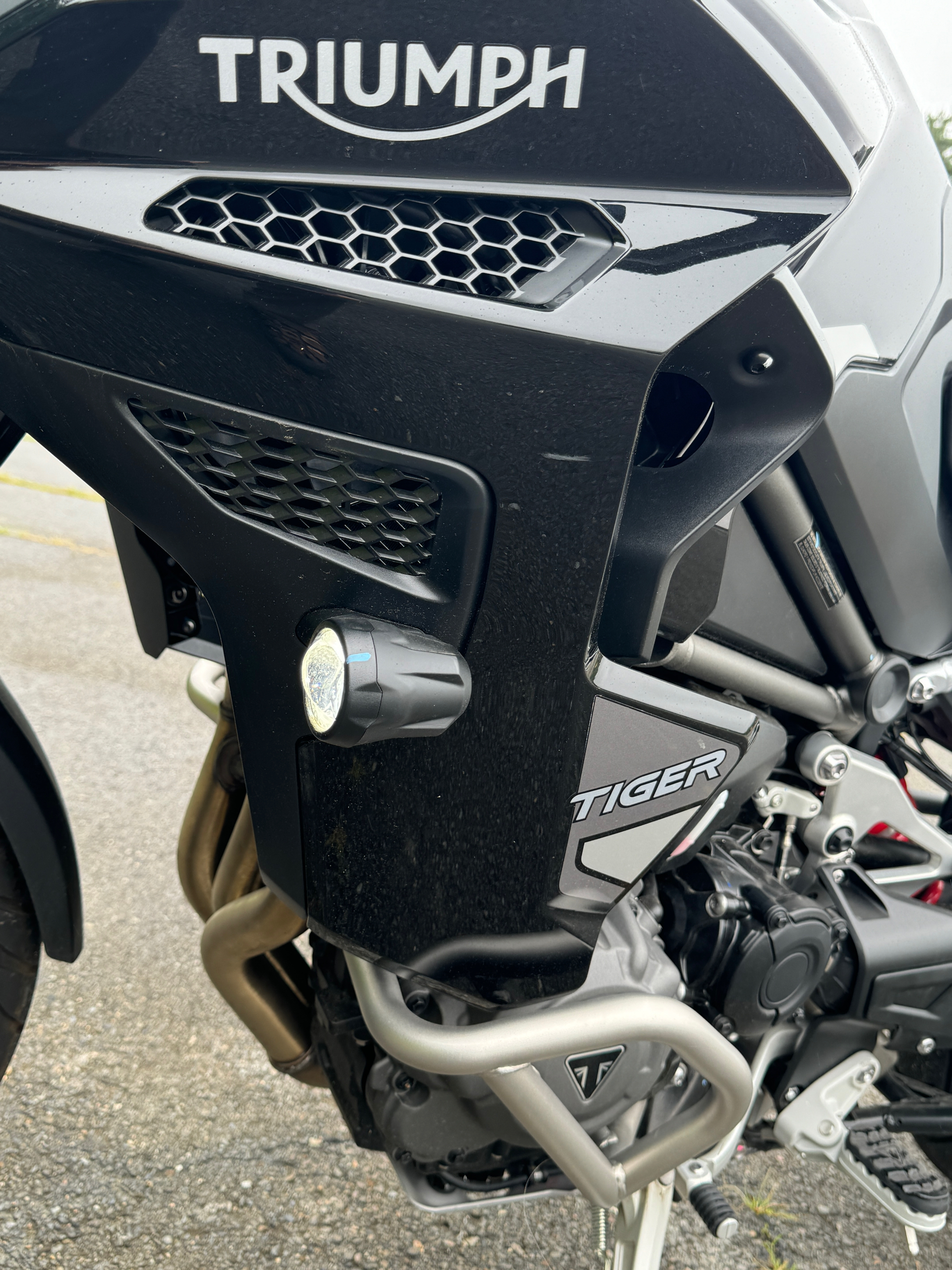2023 Triumph Tiger 1200 GT Explorer in Foxboro, Massachusetts - Photo 22